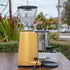 Pre Loved Fully Serviced Silver Mazzer MINI Coffee Grinder