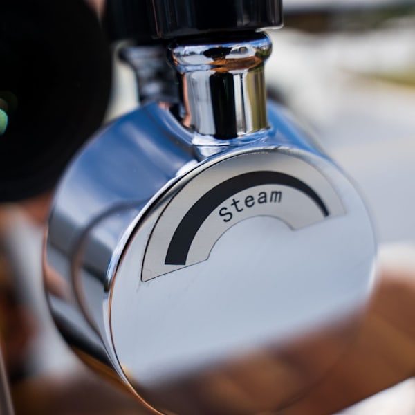 Demo Bellezza Bellona Dual Boiler Semi Commercial Coffee Machine